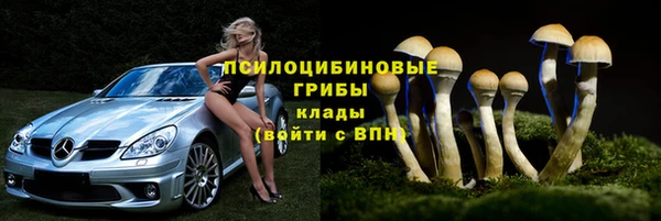 apvp Алзамай